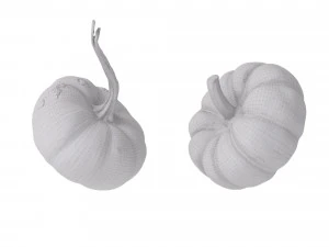 Pumpkins 3D Model