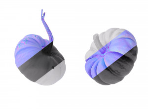 Pumpkins Modelo 3D