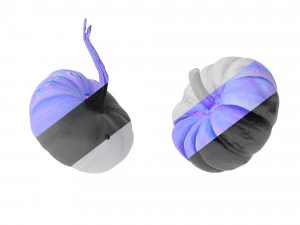 Pumpkins 3D Model