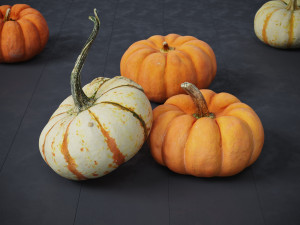 Pumpkins Modelo 3D