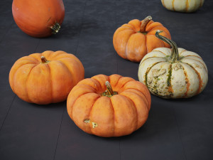 Pumpkins Modelo 3D