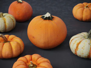 Pumpkins 3D Model