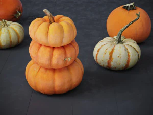 Pumpkins 3D Model