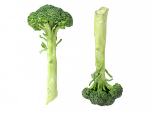 Broccoli Bunch 3D Model