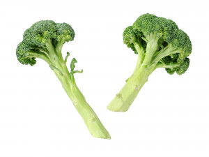Broccoli Bunch 3D Model