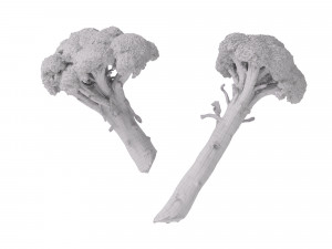 Broccoli Bunch 3D Model