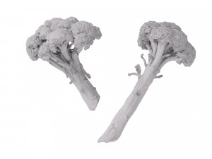 Broccoli Bunch 3D Model