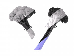 Broccoli Bunch 3D Model