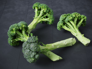 Broccoli Bunch 3D Model