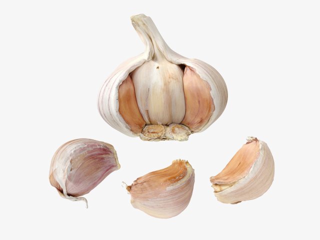 Garlic 3D 模型 .c4d .max .obj .3ds .fbx .stl .blend 