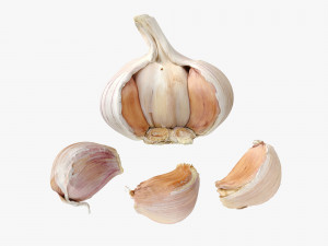 Garlic Modelo 3D