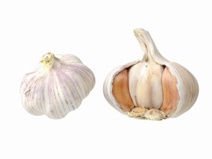 Garlic 3D 模型
