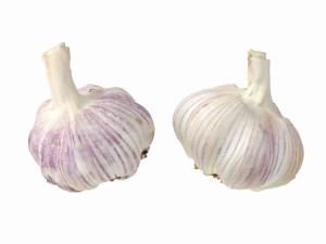 Garlic 3D 模型