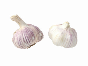 Garlic 3D 模型