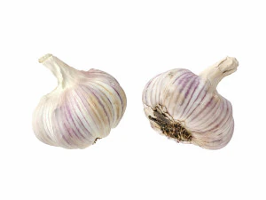 Garlic 3D Model