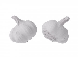 Garlic 3D 模型