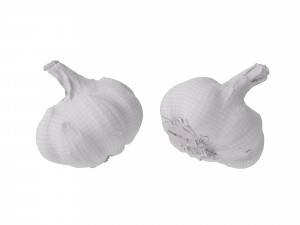Garlic 3D 模型