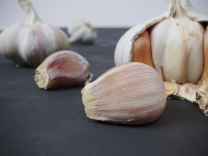 Garlic 3D 模型