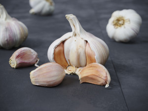 Garlic 3D 模型
