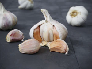 Garlic 3D Model