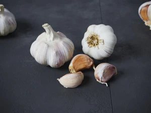 Garlic 3D Model