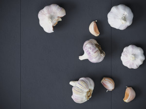 Garlic 3D 模型