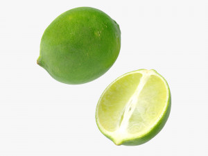 Lime 3D Model