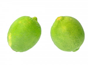 Lime 3Dモデル