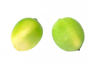 Lime 3D Model