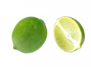 Lime 3Dモデル