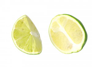 Lime 3D Model