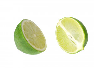 Lime 3Dモデル