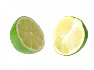 Lime 3Dモデル