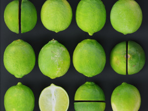 Lime 3Dモデル