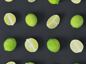 Lime 3Dモデル