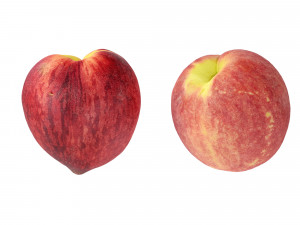 Peaches 3Dモデル