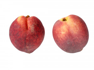 Peaches 3Dモデル