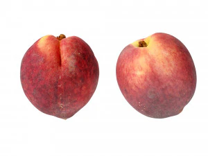 Peaches 3D Model