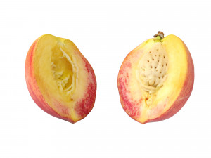 Peaches 3Dモデル