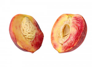 Peaches 3D Model