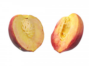 Peaches 3Dモデル