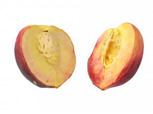 Peaches 3D Model
