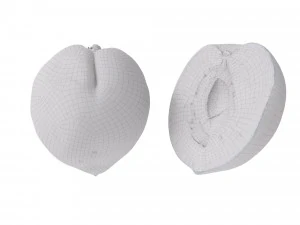 Peaches 3D Model