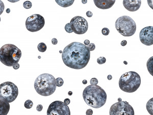 Blueberry 3D Model