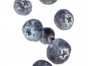 Blueberry 3D Model