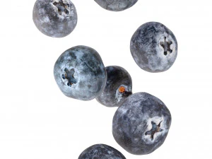Blueberry 3D Model