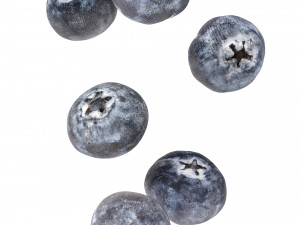Blueberry 3D Model