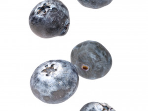 Blueberry 3D Model