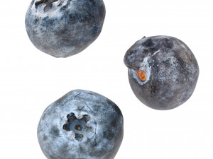Blueberry 3D Model