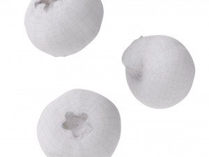Blueberry 3D Model